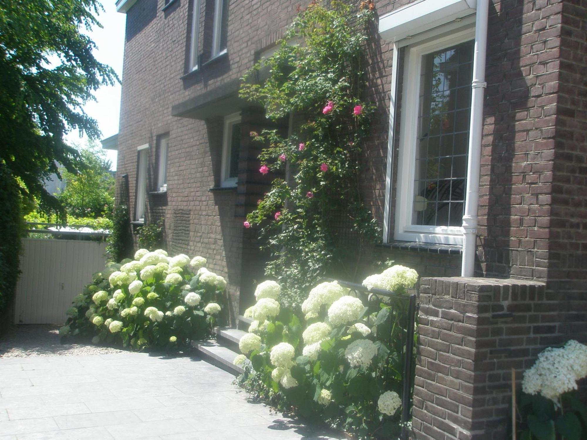 Bed & Breakfast Alberti Bed & Bike