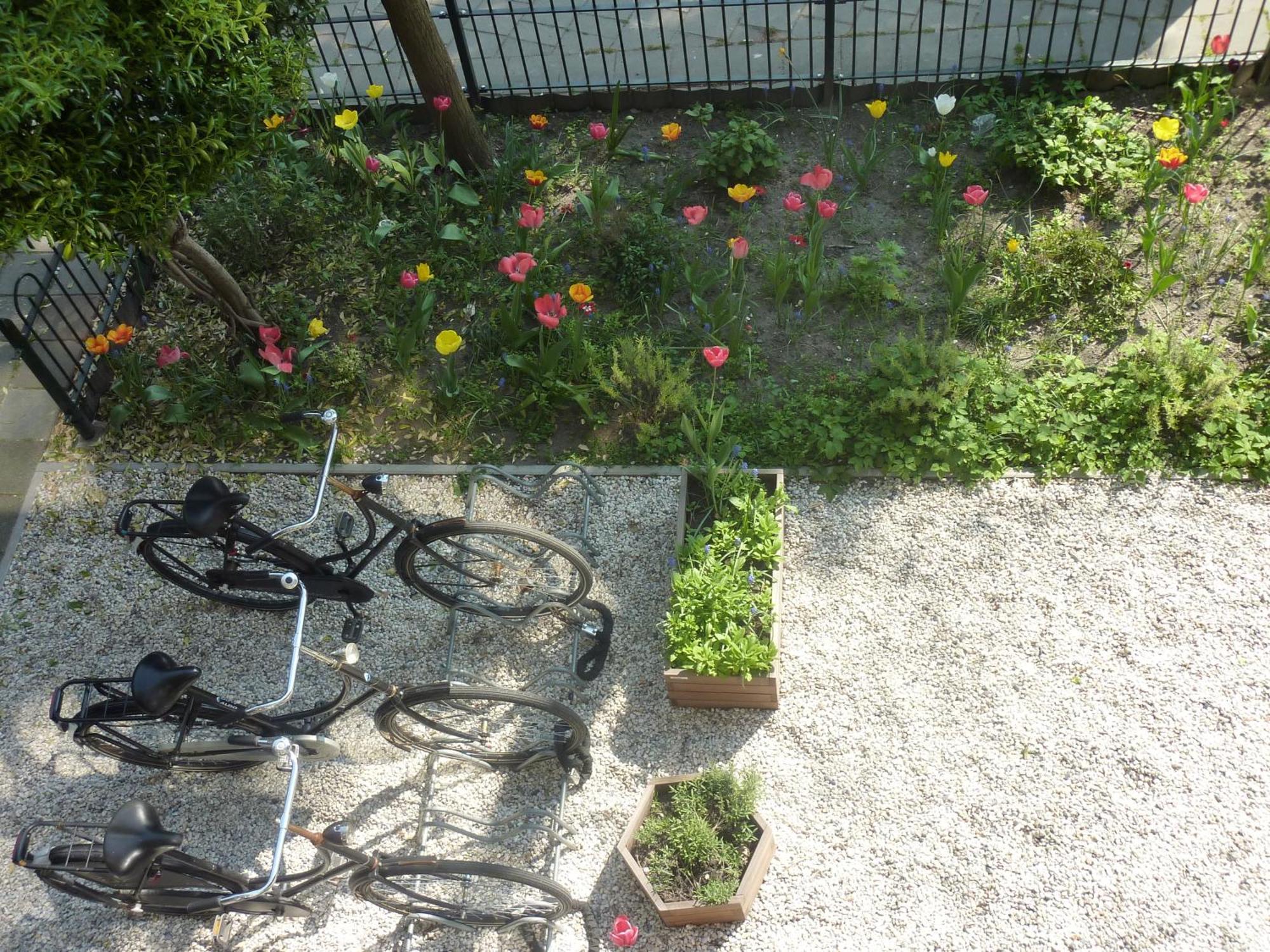 Bed & Breakfast Alberti Bed & Bike Maastricht
